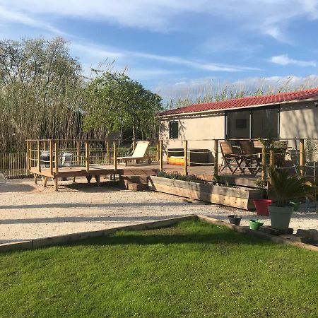 Tiny House Sur La Cote D'Azur Villa Hyères Eksteriør bilde
