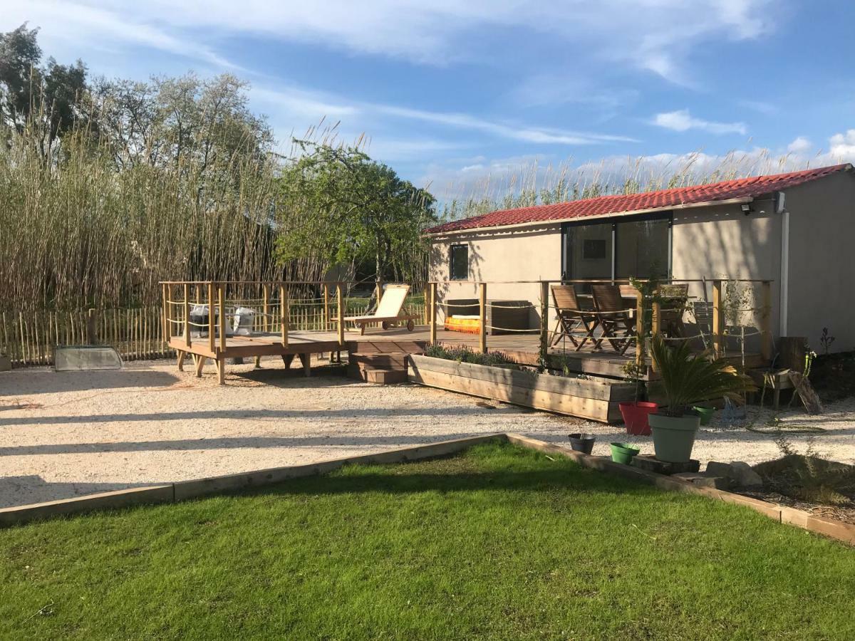 Tiny House Sur La Cote D'Azur Villa Hyères Eksteriør bilde